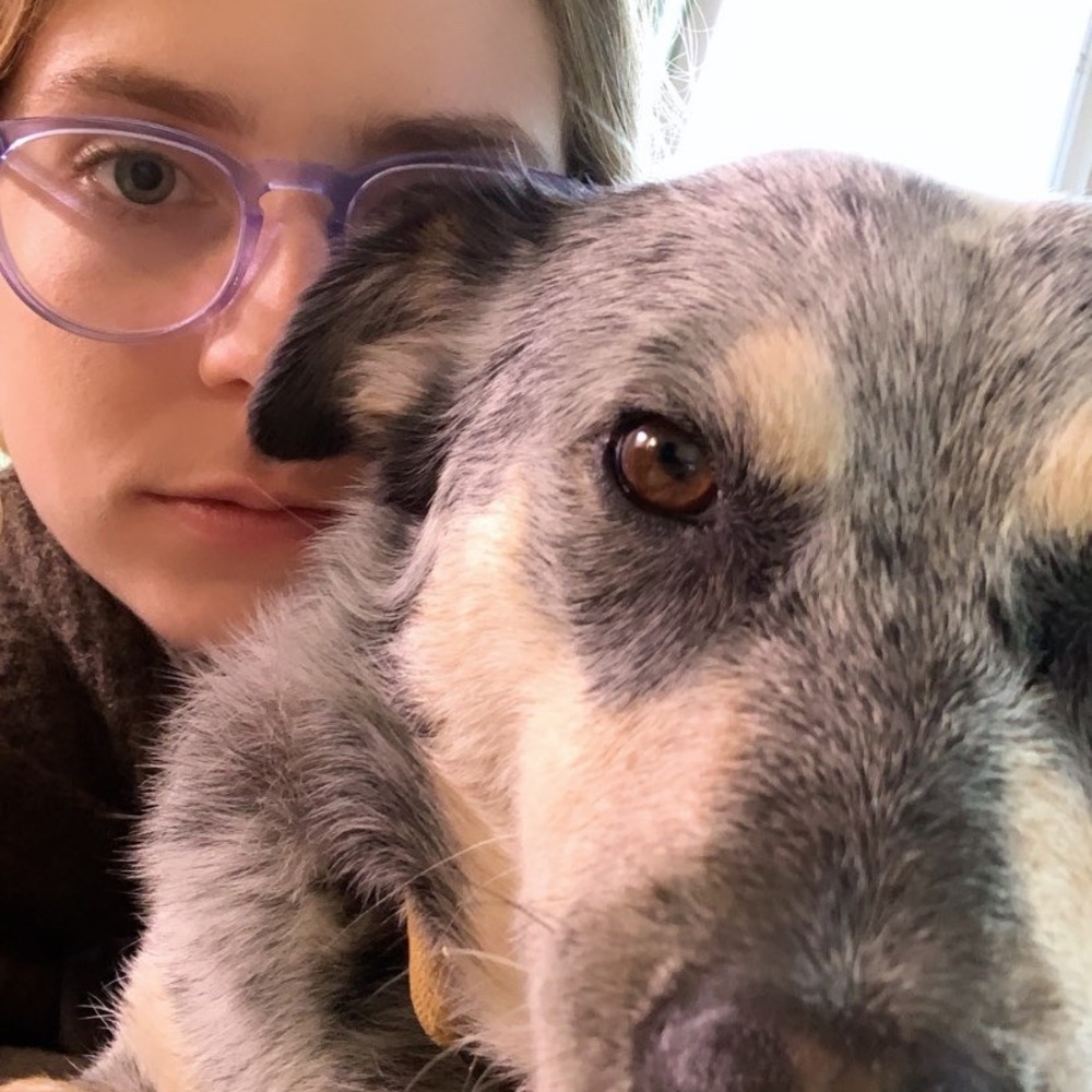 Meet your Posher, Baylee